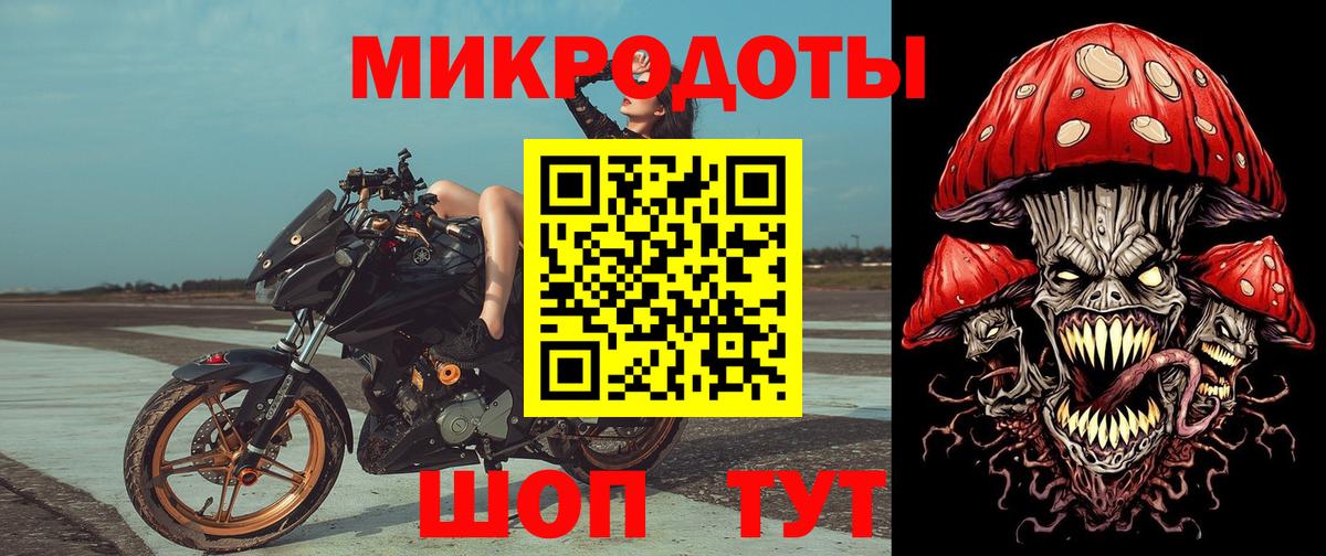 Псилоцибиновые грибы Psilocybe Комсомольск-на-Амуре