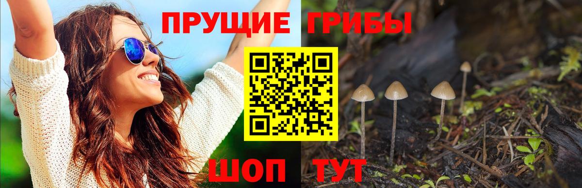 Комсомольск-на-Амуре  Галлюциногенные грибы GOLDEN TEACHER  Вход с VPN  Псилоцибиновые грибы Psilocybine cubensis 